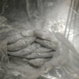 頭からシッポまで メヒカリの唐揚げ レシピ 作り方 By Rose24 楽天レシピ 頭からシッポまで メヒカリの唐揚げ レシピ 作り方 By Rose24 楽天レシピ